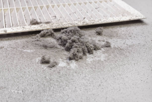 Best Commercial HVAC Duct Cleaning  in Appomattox, VA
