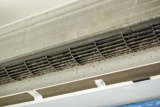 Best HVAC Air Duct Cleaning  in Appomattox, VA